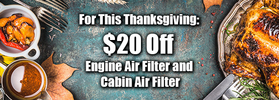 Thanksgiving offer